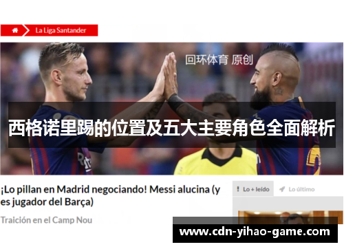 西格诺里踢的位置及五大主要角色全面解析