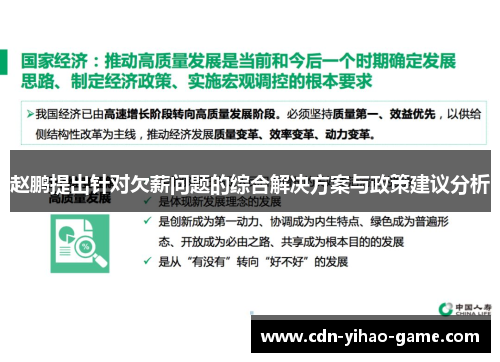 赵鹏提出针对欠薪问题的综合解决方案与政策建议分析